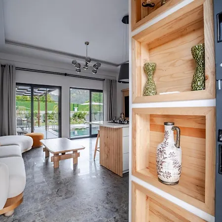 ヴィラ Alina フェティエ