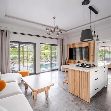 Alina Φετιγιέ