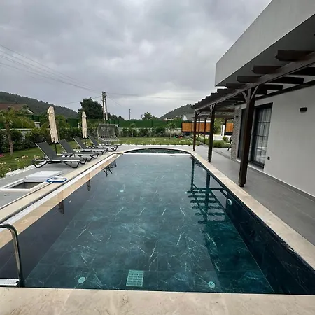 Alina * Φετιγιέ